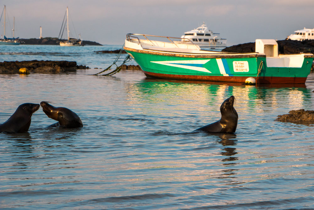 Puerto Villamil galápagos salinos