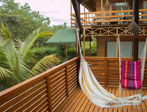 The best of eco luxury hotels – Isabela Island Galapagos