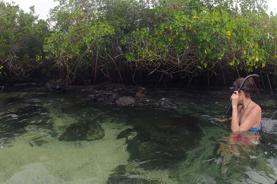 girl snorkelling at Santa Cruz Concha Perla