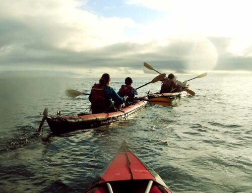 eco tourism in galapagos Get inspired with these 5 videos of Isabela Island