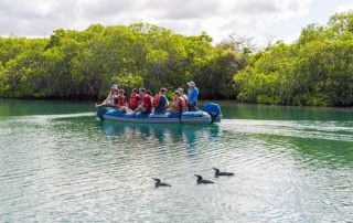 Galapagos Sea Excursions