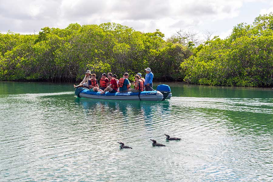 Galapagos Islands Sea Excursions