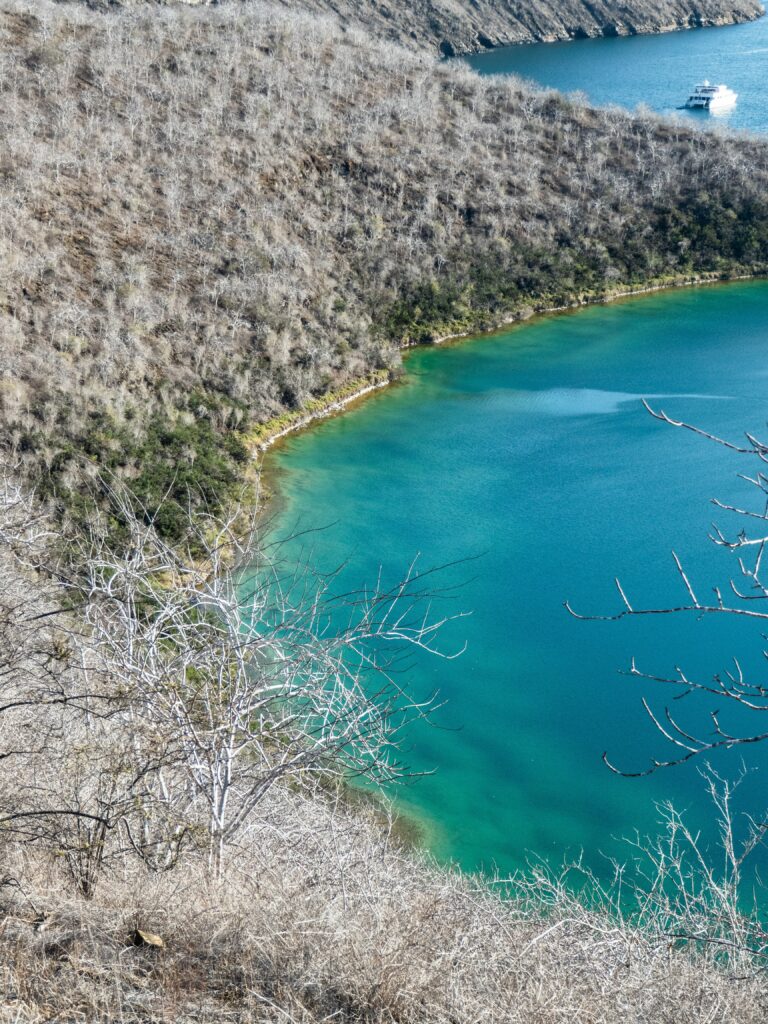 Tagus Cove galapagos